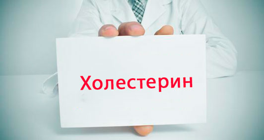 Ученые: атеросклеротические бляшки рассасываются при снижении уровня холестерина