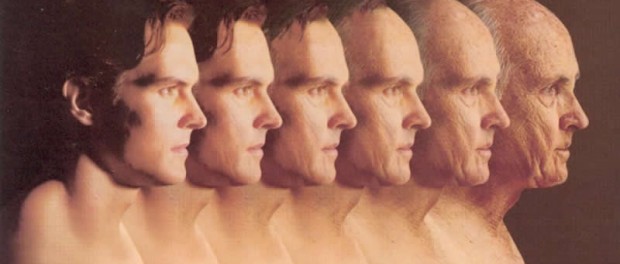память, женщины, эстроген