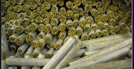 Ученые подробно изучили влияние марихуаны на людей