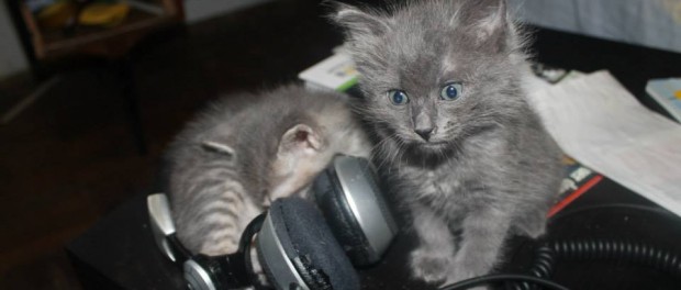 классическая музыка, операция