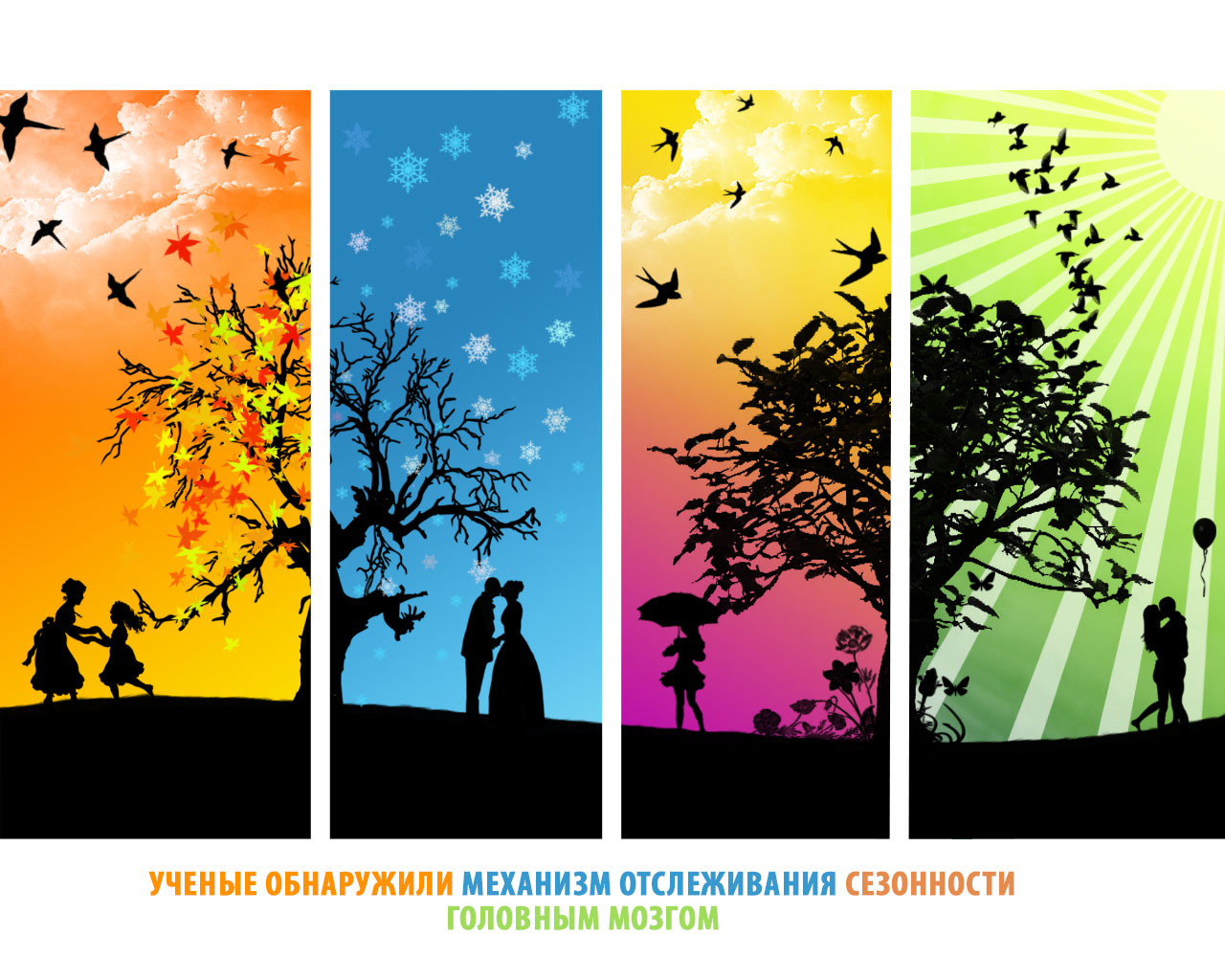 сезон, время года, мозг, ГАМК, хлор