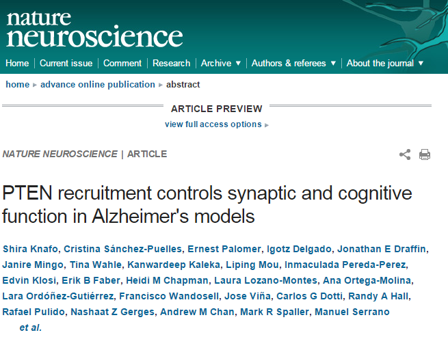 PTEN recruitment controls synaptic and cognitive function in Alzheimer's models ©