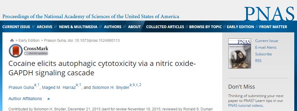 Guha, Prasun; Harraz, Maged M.; Snyder, Solomon H. (2016) Cocaine elicits autophagic cytotoxicity via a nitric oxide-GAPDH signaling cascade // PNAS p. 1524860113