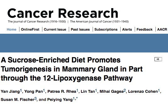 рак молочной железы, сахар, Cancer Research