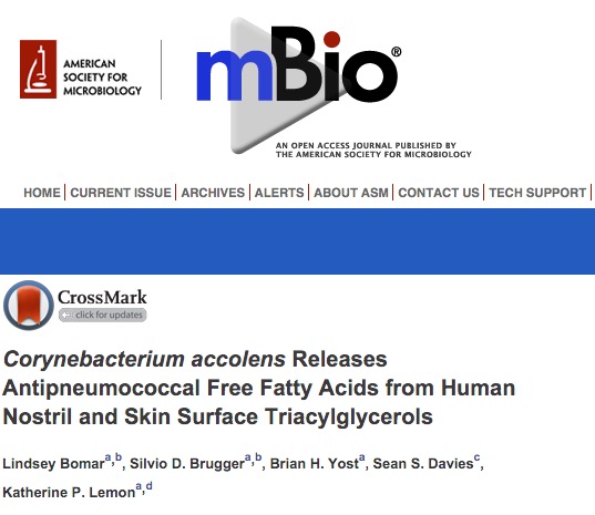 Corynebacterium accolens, Streptococcus pneumoniae, бакетрии, mBio