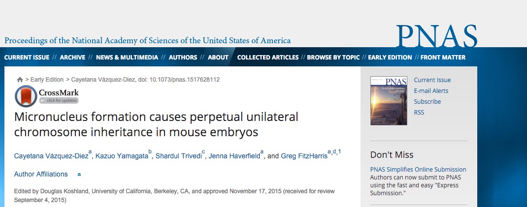 Vázquez-Diez C. et al. Micronucleus formation causes perpetual unilateral chromosome inheritance in mouse embryos //Proceedings of the National Academy of Sciences. – 2016. – С. 201517628.