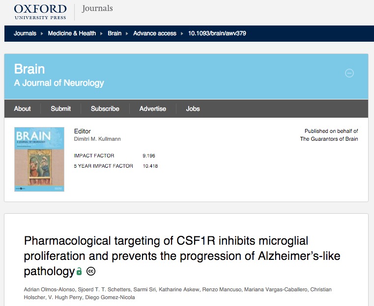 Adrián Olmos Alonso et al. Pharmacological targeting of CSF1R inhibits microglial proliferation and prevents the progression of Alzheimer's-like pathology // Brain, doi:10.1093/brain/awv379, expected online January 2016.