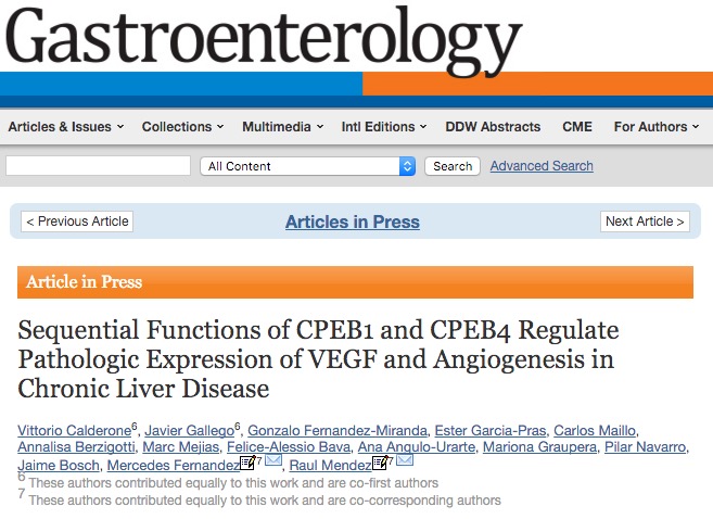 Calderone V. et al. Sequential Functions of CPEB1 and CPEB4 Regulate Pathologic Expression of VEGF and Angiogenesis in Chronic Liver Disease //Gastroenterology. – 2015.