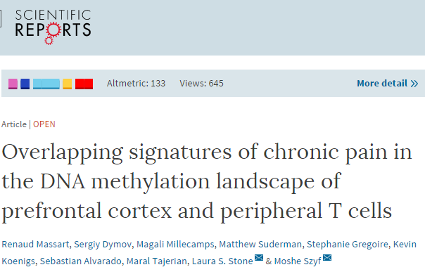 Overlapping signatures of chronic pain in the DNA methylation landscape of prefrontal cortex and peripheral T cells ©