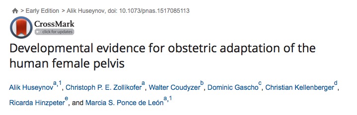 PNAS, роды, таз