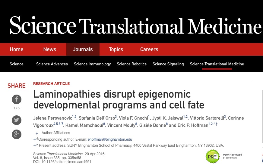 эпигенетика, мышечная атрофия, ген, Science Translational Medicine