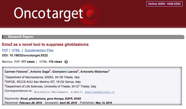 генная терапия, рак, головной мозг, глиобластома, Oncotarget