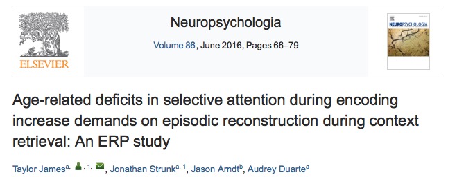 пожилые люди, Neuropsychologia