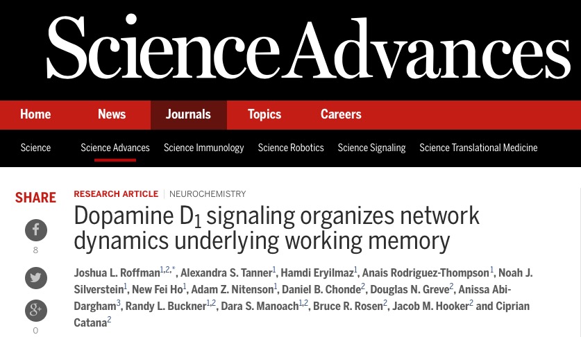 оперативная память, дофамин, Science Advances