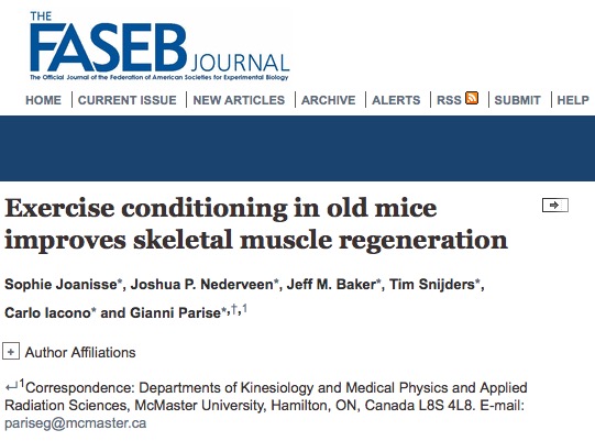 физические упражнения, пожилые люди, The FASEB Journal