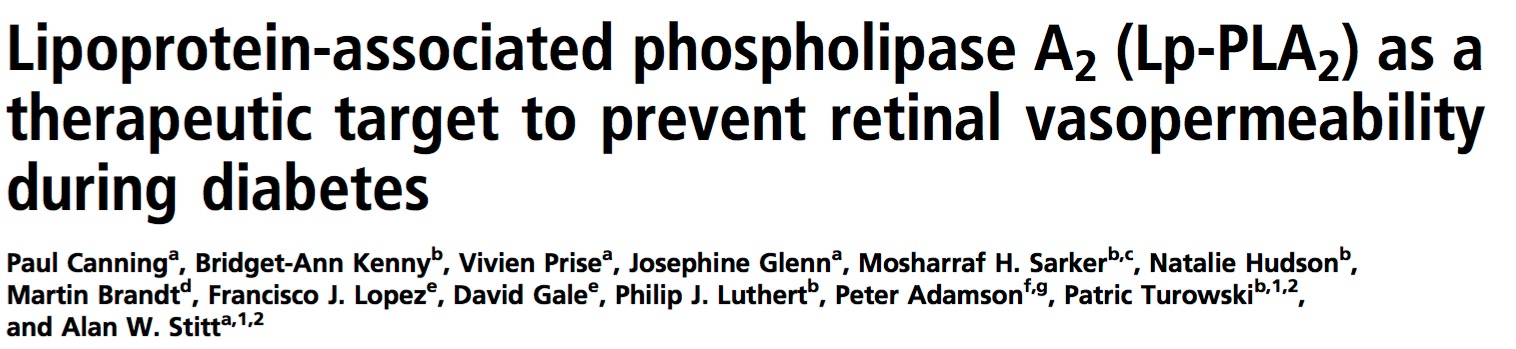 слепота, диабет, PNAS