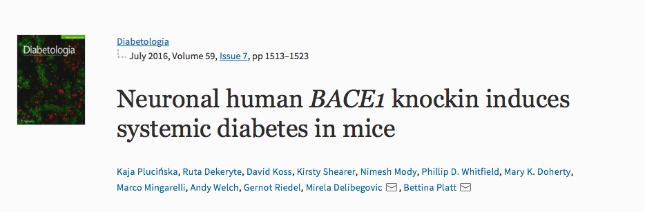 болезнь Альцгеймера, диабет, Diabetologia