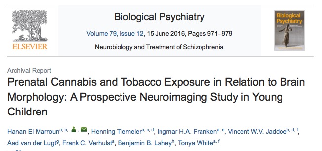 марихуана, беременность, Biological Psychiatry