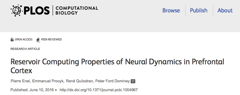 головной мозг, PLOS Computational Biology