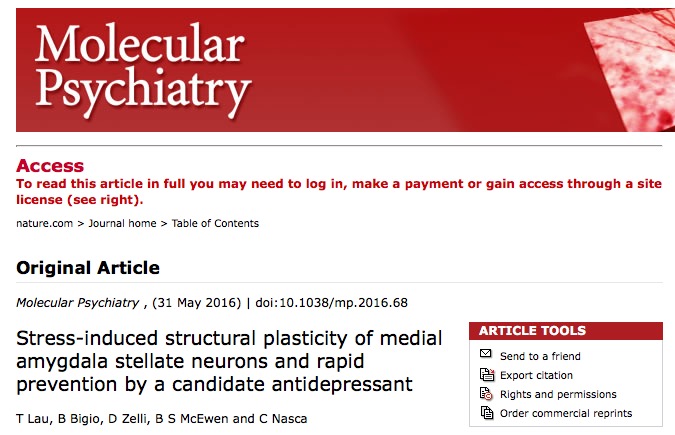Molecular Psychiatry, стресс