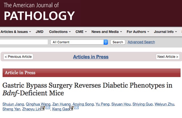диабет, The American Journal of Pathology