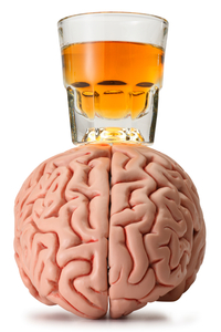 клетки мозга, мыши, алкоголь, зависимость