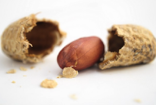 Исследователи считают, что маленьким детям нужно есть арахис, чтобы снизить аллергию