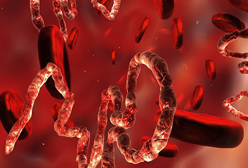 анализ крови, вирус Эбола