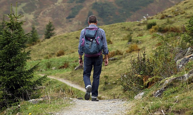Ученые: один час ходьбы в среднем продлевает жизнь на 14% ©pixabay/Hermann