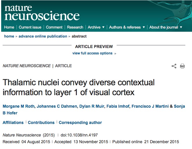 Roth M. M. et al. Thalamic nuclei convey diverse contextual information to layer 1 of visual cortex //Nature Neuroscience. – 2015