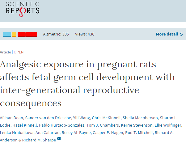 Analgesic exposure in pregnant rats affects fetal germ cell development with inter-generational reproductive consequences ©