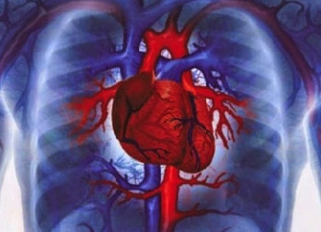 Journal of the American College of Cardiology, середечная недостаточность