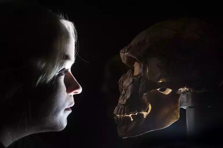 неандертальцы, ДНК, вымирание
